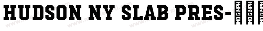 Hudson NY Slab Pres字体转换